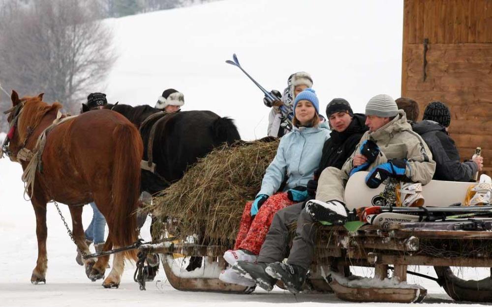 в карпаты зимой